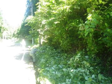 b0079965_5141270.jpg
