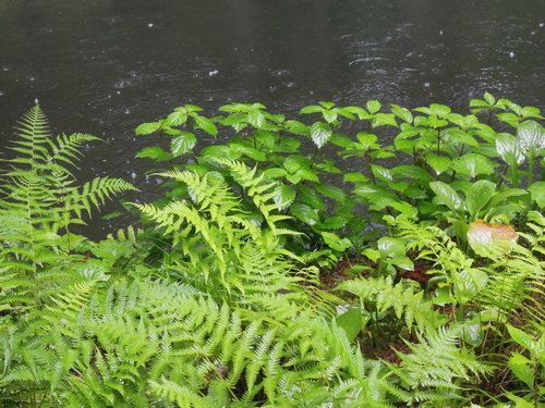 f0104169_22423980.jpg