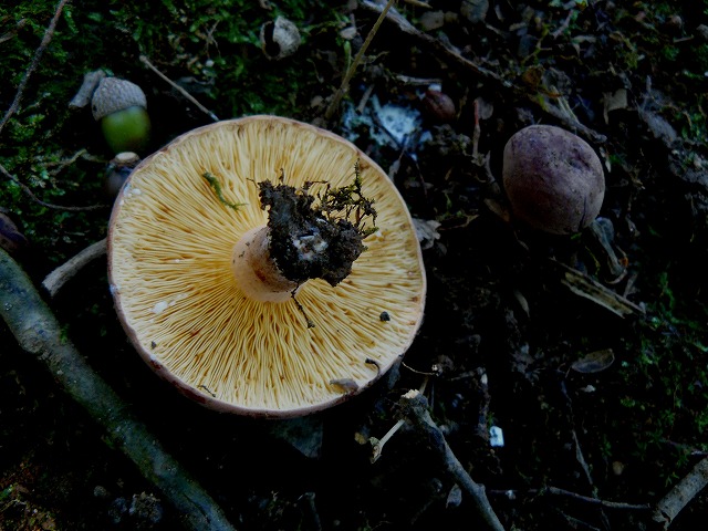 d0019074_819132.jpg