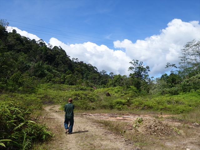 a0067578_21135379.jpg