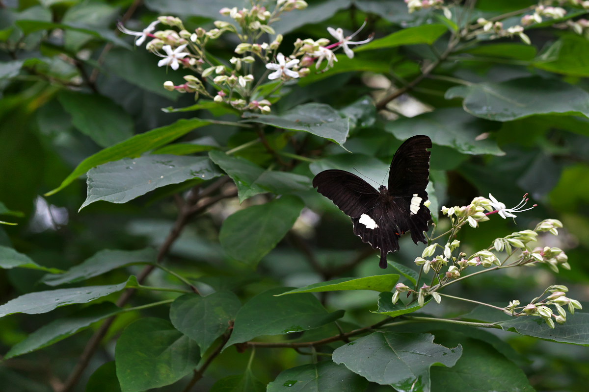 a0083081_18415249.jpg