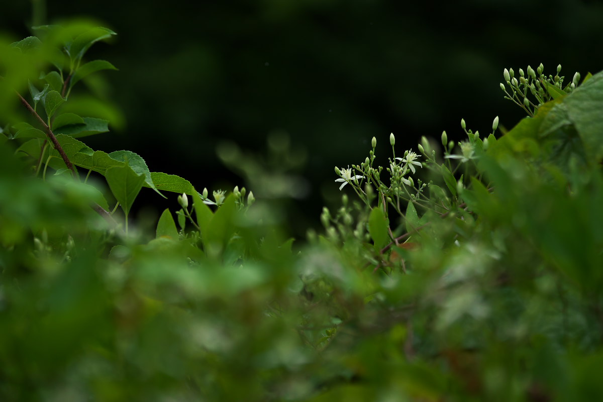 a0083081_18432376.jpg