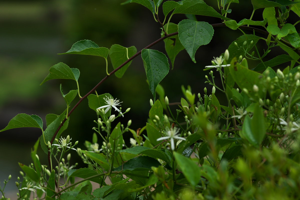 a0083081_18432986.jpg