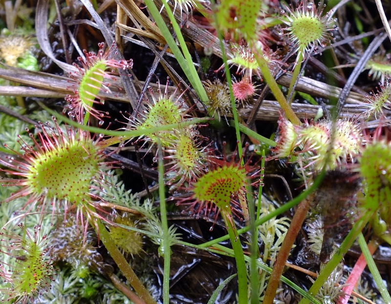f0082181_0392126.jpg