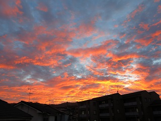 e0130185_1932674.jpg