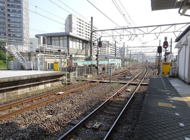 d0183387_12205590.jpg