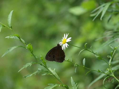 f0236291_10312012.jpg