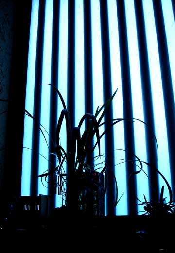 e0354593_11210480.jpg