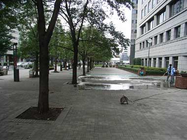 e0354593_11215051.jpg