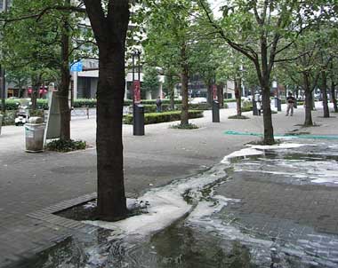 e0354593_11215082.jpg
