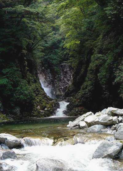 e0354593_11233722.jpg