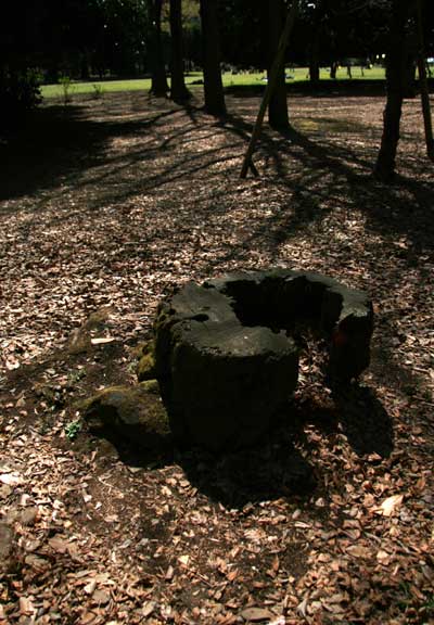 e0354593_11234727.jpg