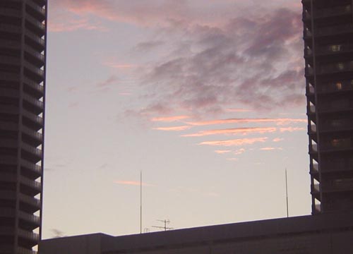 d0053294_1364233.jpg