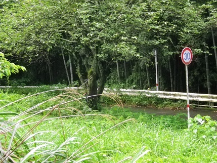 e0048994_11240348.jpg