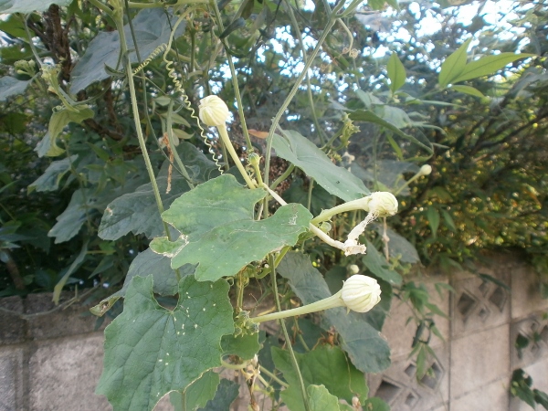 d0000995_14435040.jpg