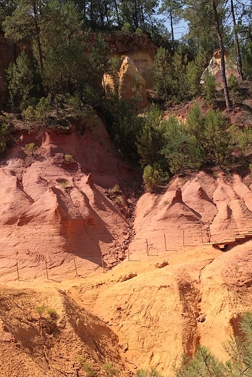 e0209997_9534848.jpg