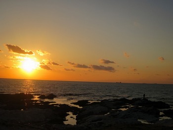 d0027711_15183226.jpg