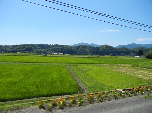 b0129725_19305601.jpg