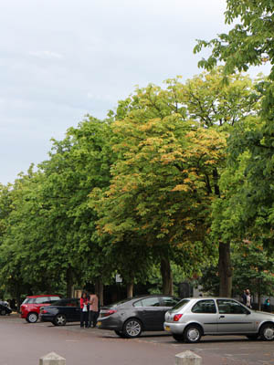 b0199526_2252379.jpg