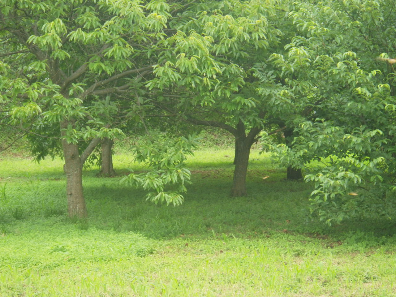 c0300035_14254827.jpg