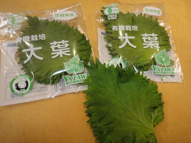 f0208737_08561243.jpg