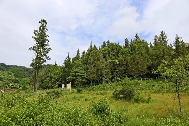 a0242438_18441880.jpg