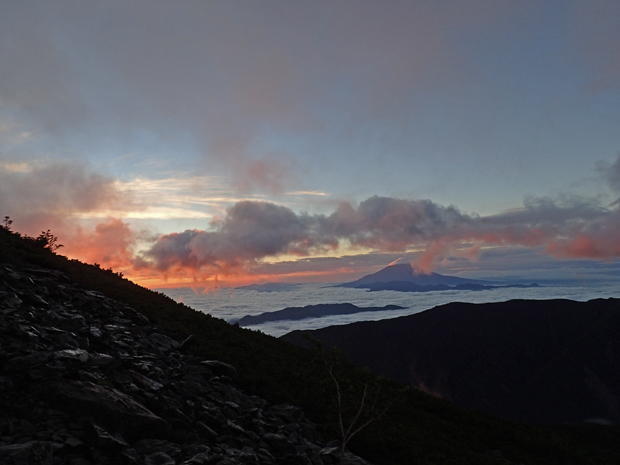 f0214649_1524117.jpg