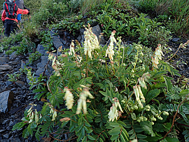 f0214649_214410.jpg