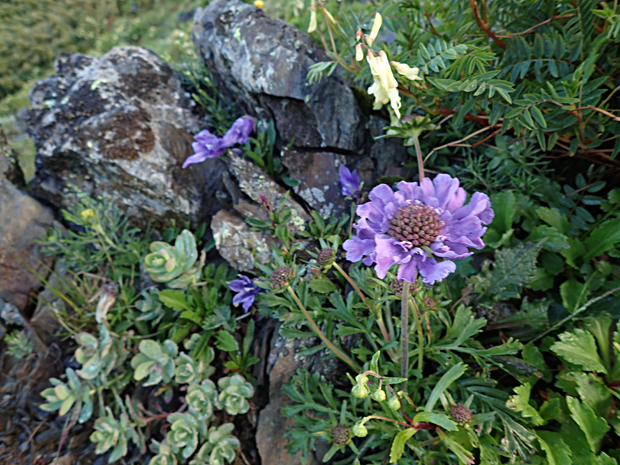 f0214649_2214979.jpg