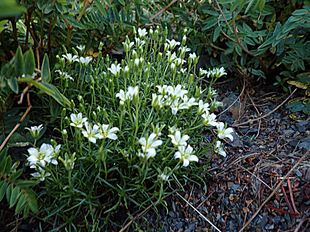 f0214649_221879.jpg