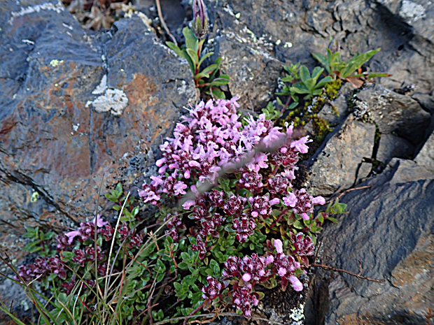 f0214649_2225199.jpg