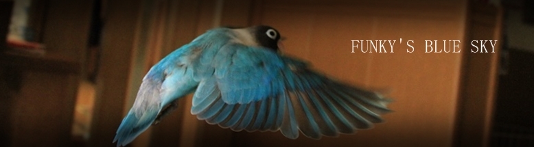 c0145250_11035788.jpg