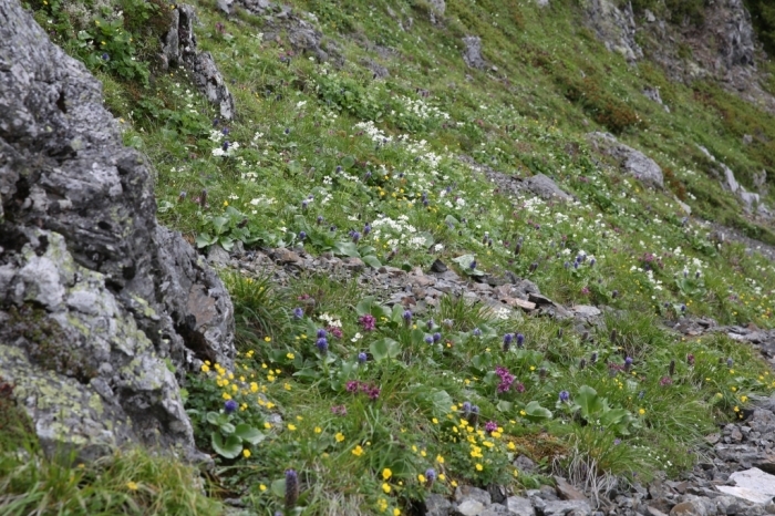 f0344554_15391784.jpg