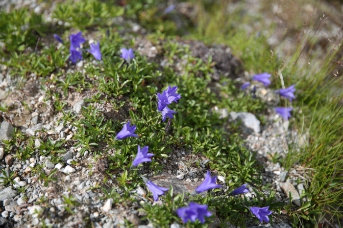 f0344554_15395469.jpg