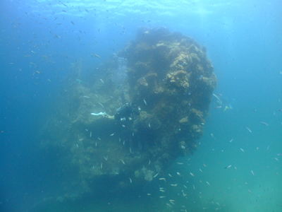 e0184067_19360608.jpg