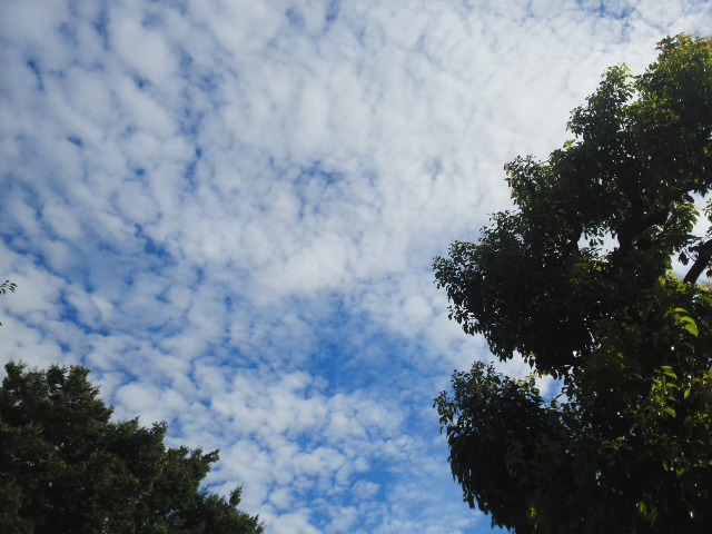 f0061067_1939539.jpg