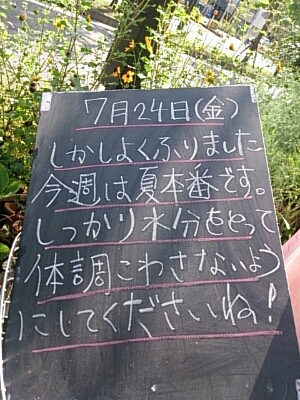 f0152875_8481384.jpg