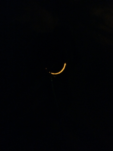 c0283778_1718316.jpg