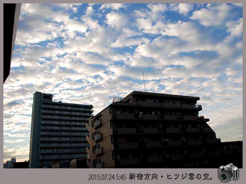 c0009981_551551.jpg