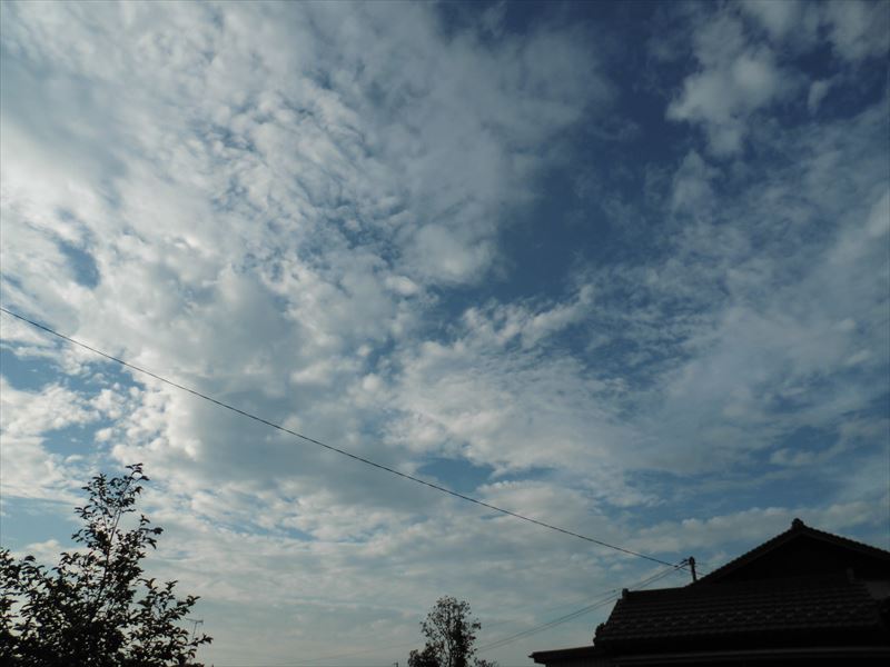 c0108198_18122724.jpg