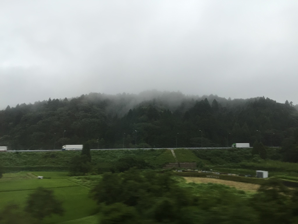 f0108399_832559.jpg