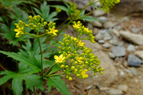 e0304001_13434419.jpg