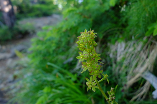 e0304001_13463937.jpg