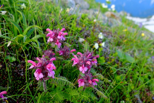 e0304001_153136.jpg