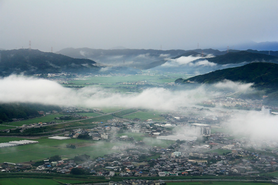 e0093903_81147.jpg