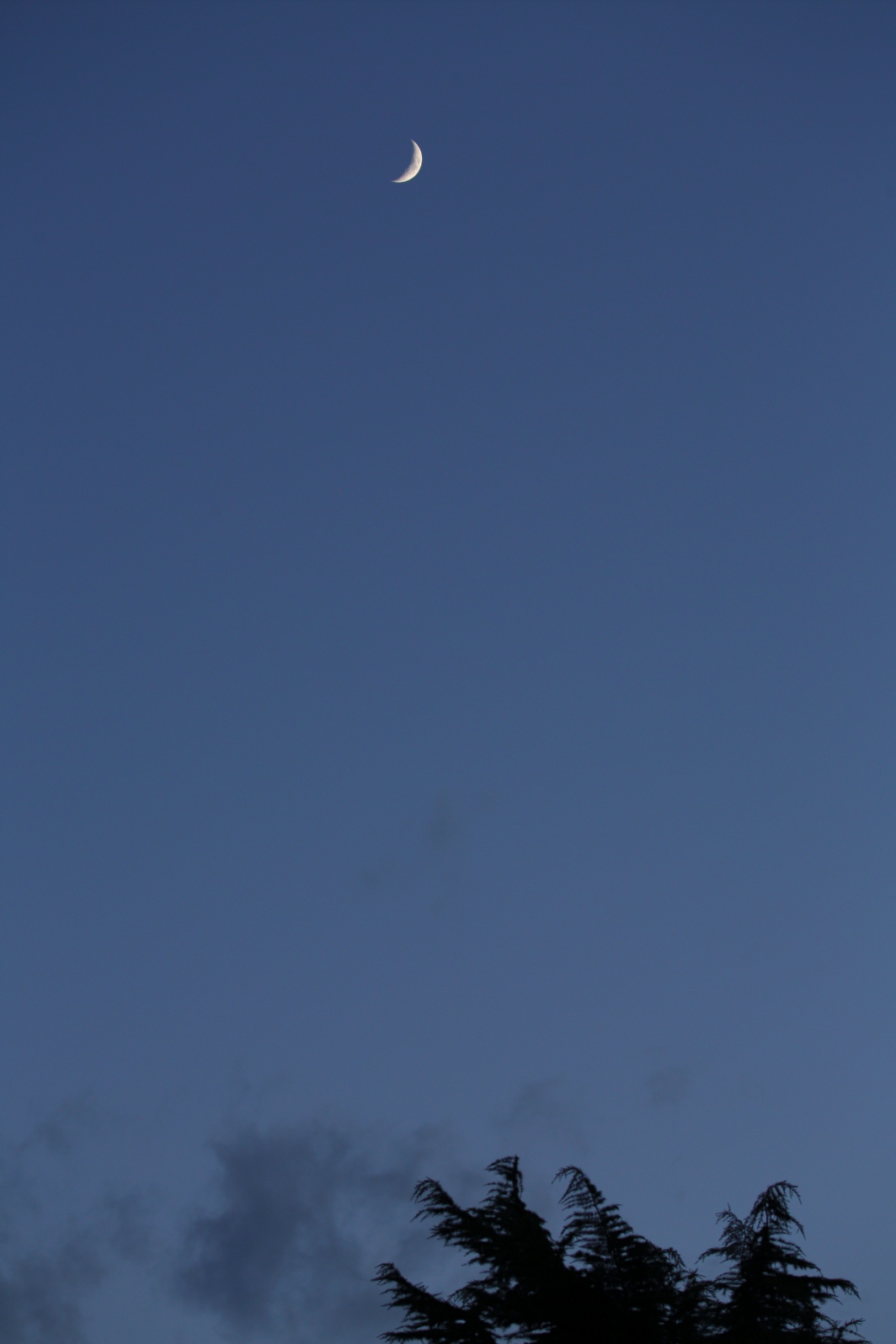 a0155104_921173.jpg