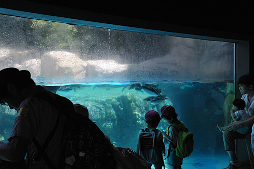 a0278809_19273289.jpg