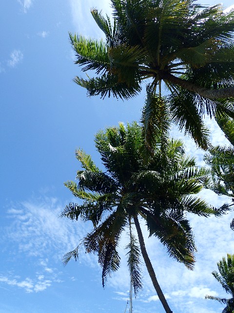 f0043911_16174865.jpg