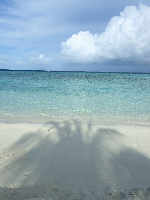f0043911_161806.jpg
