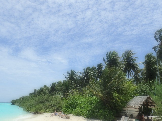 f0043911_16193990.jpg